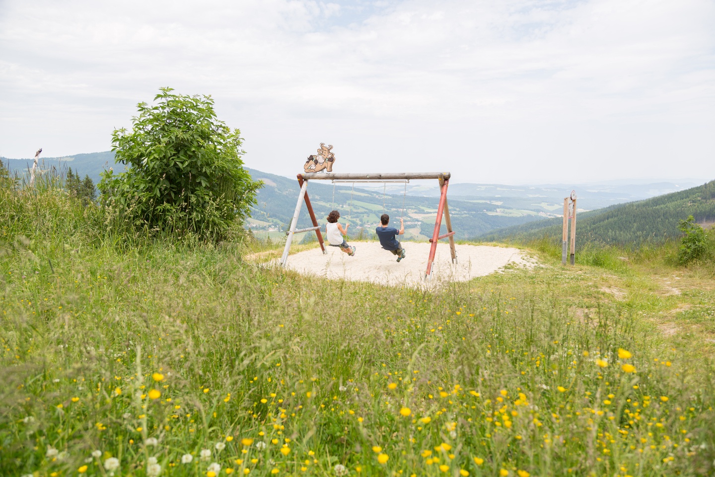 Panorama-Schaukel in Niederösterreich mit Bergblick
